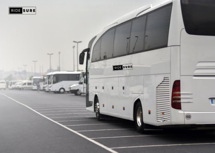 Affordable Charter Bus Rental Near Me - Charter Buses Near Me Prices