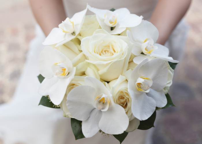 Jacksonville Wedding Transportation Services